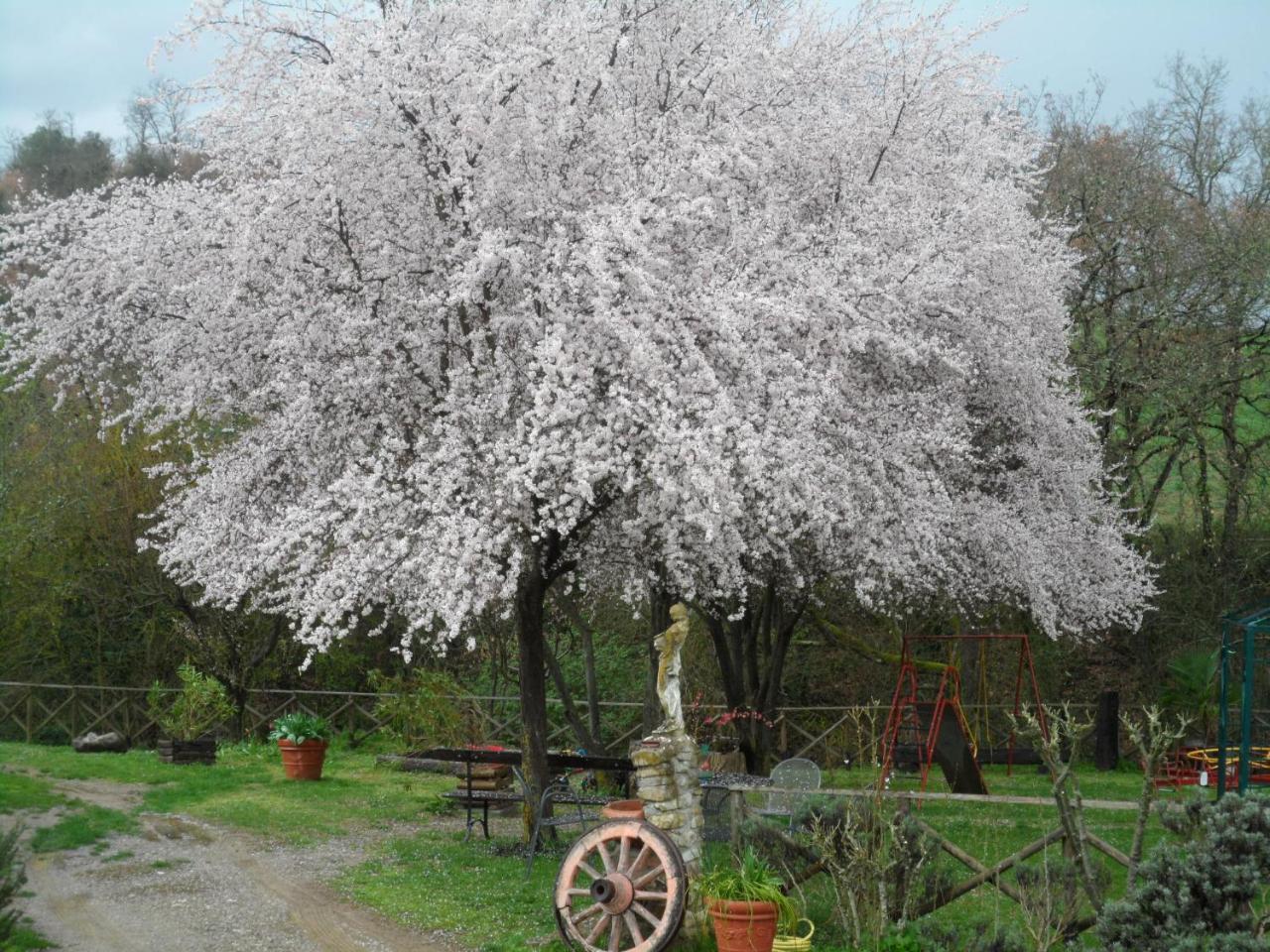 Locanda Delle Noci Перуджа Экстерьер фото